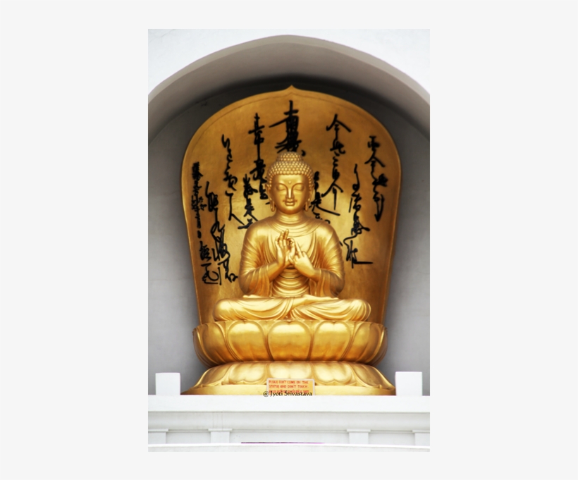 Buddhist Iconography Mudras And Auspicious Symbols - Symbol, transparent png #2582884