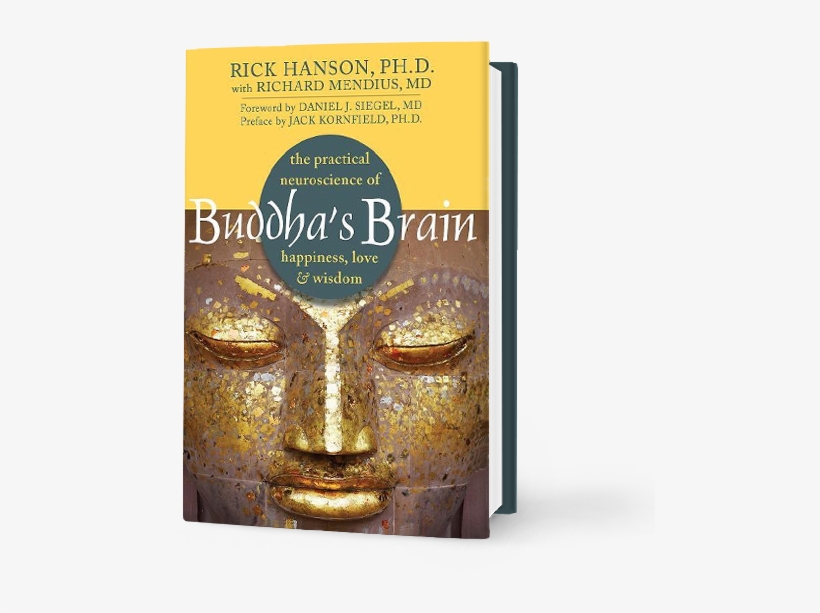 Rick Hanson Buddha's Brain, transparent png #2582986