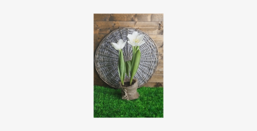 Beautiful Tulips In Pot On Green Grass, On Wooden Background - Lily Of The Valley, transparent png #2583450
