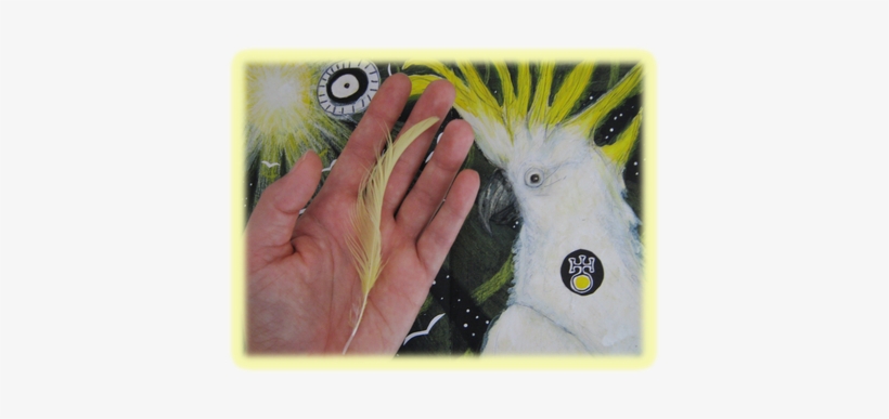 Picture - Sulphur-crested Cockatoo, transparent png #2583631