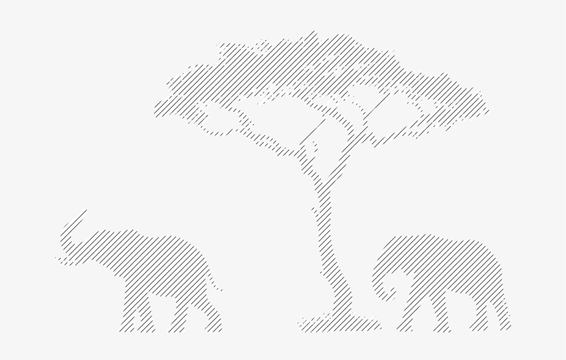 App-right Bg - African Tree, transparent png #2583870