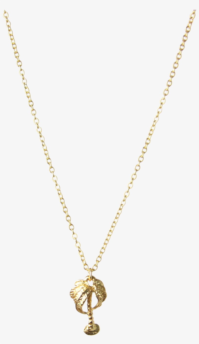 Mini Palm Tree Charm Necklace In Gold Vermeil - Gold Chain For Girls, transparent png #2585116