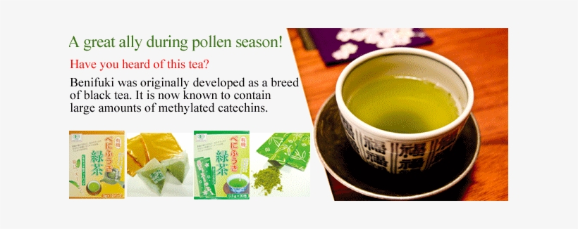 永田茶園 有機べにふうき緑茶(スティックタイプ)粉末 0.5g×30 2832, transparent png #2585286