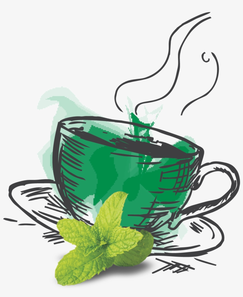 Spearmint Green Tea - Illustration, transparent png #2585334