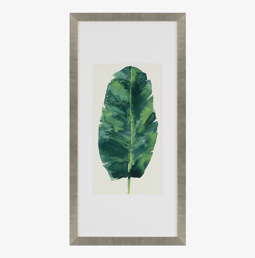 Framed Leaves, transparent png #2585880