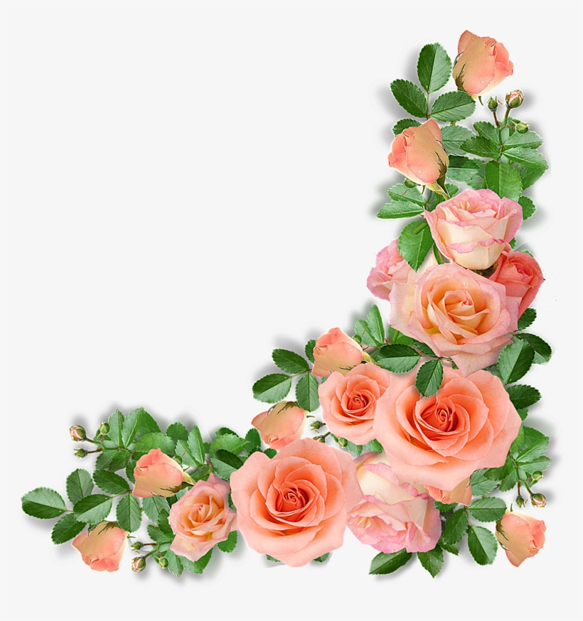 Фото, Автор Videosyper - Fresh Flower Png, transparent png #2585981