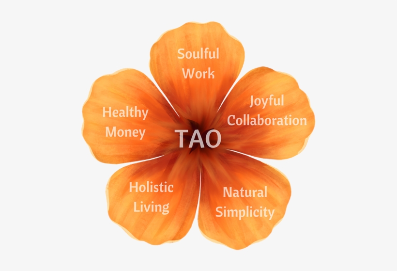 It Takes A Village To Build A Business - Wood Sorrel Family, transparent png #2586887