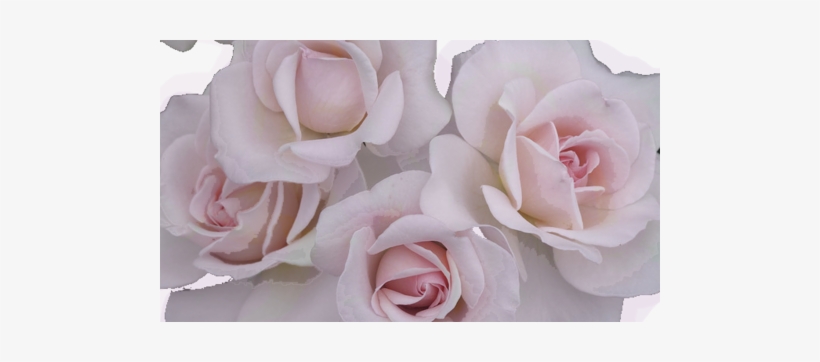 Indie/tribal - Soft Grunge, transparent png #2586927