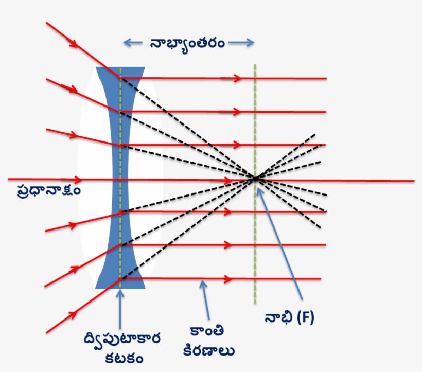 Rays Pass Through Focul Point - Biconcave Linse, transparent png #2588468