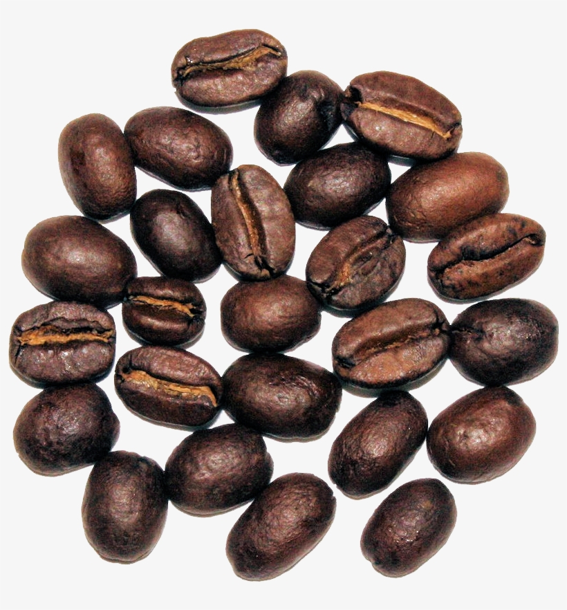 The Cultured Cup® - Seed, transparent png #2588810