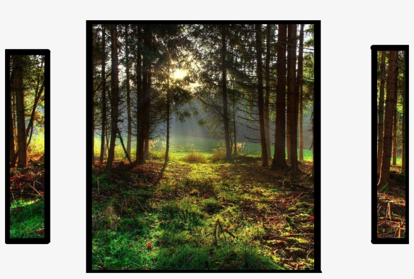 Landscapes Wild Nature Landscape Area Forest Sky Beautiful - Landscape Oil Painting Nature, transparent png #2590047