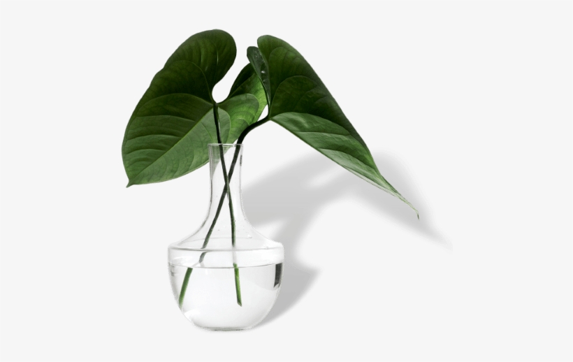 Welcome To The Global Alliance For Prevention And Early - Environmental Cleaning, transparent png #2590407