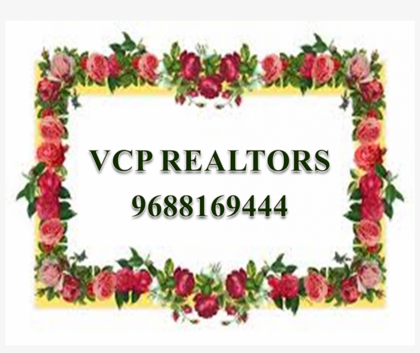 18 Gallery - Garden Roses, transparent png #2590522