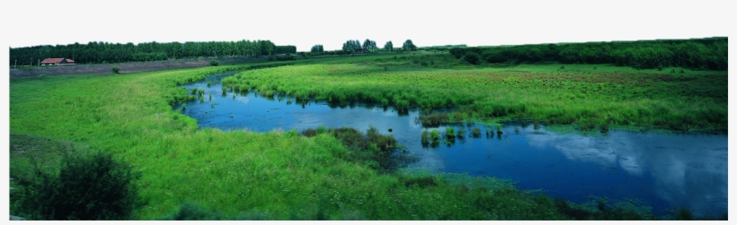 Water River Png - Field Forest Transparent, transparent png #2590857