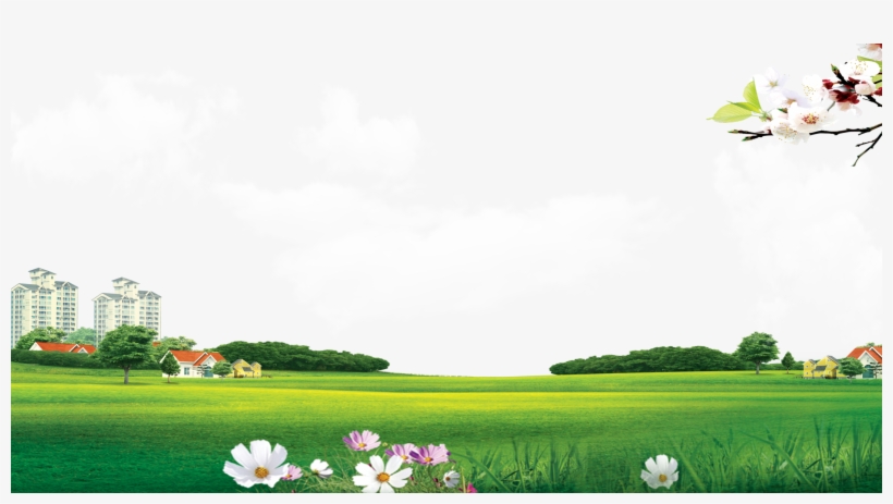 Lawn Meadow Wallpaper Background Transprent Png Free - Lawn, transparent png #2591782