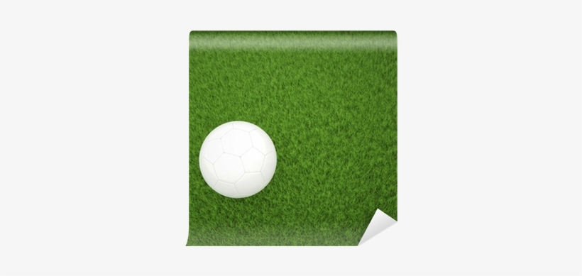 Soccer Ball On Green Grass Top View Wall Mural • Pixers® - Artificial Turf, transparent png #2592415