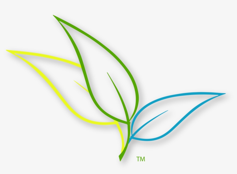 High Quality Version - Leaves, transparent png #2592961