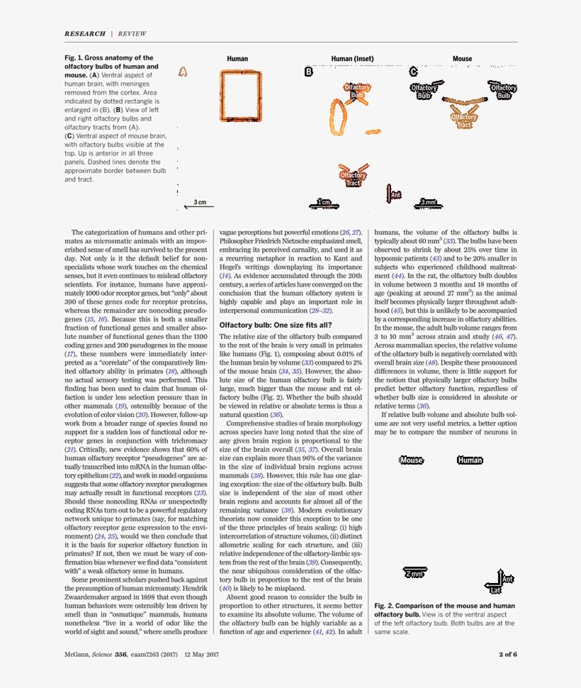 Throw Of The Dice By Stéphane Mallarmé,accompanied, transparent png #2593018