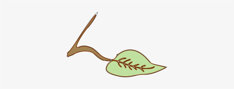 Logo Leaf Line Shoe - Clip Art, transparent png #2593177