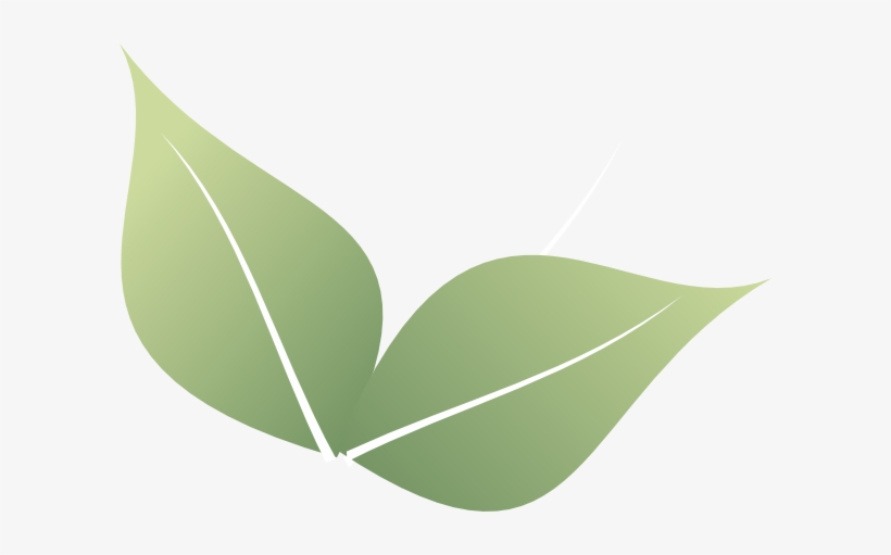 Leaf For Free Download On Mbtskoudsalg - Leaf Clipart, transparent png #2593307