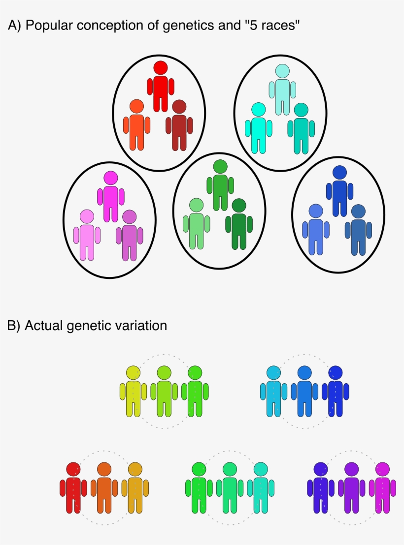 'race' Cannot Be Biologically Defined Due To Genetic - Science, transparent png #2593414