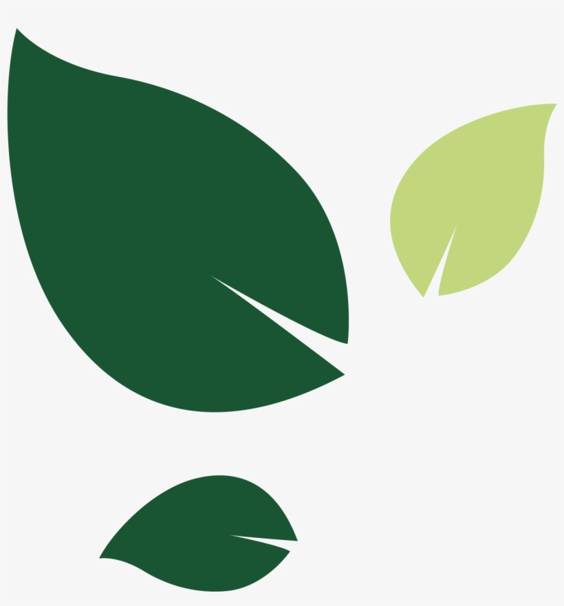 Bramley Care Leaves Left - Bramley Home Care, transparent png #2593441