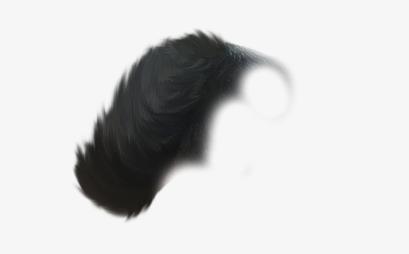 Hair Png - Hair, transparent png #2593580