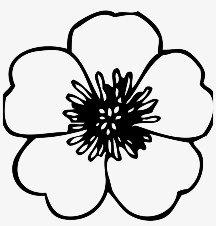 Flower Free Cat Hatenylo Com Sunflower Clip - Flowers Png Black And White, transparent png #2593692