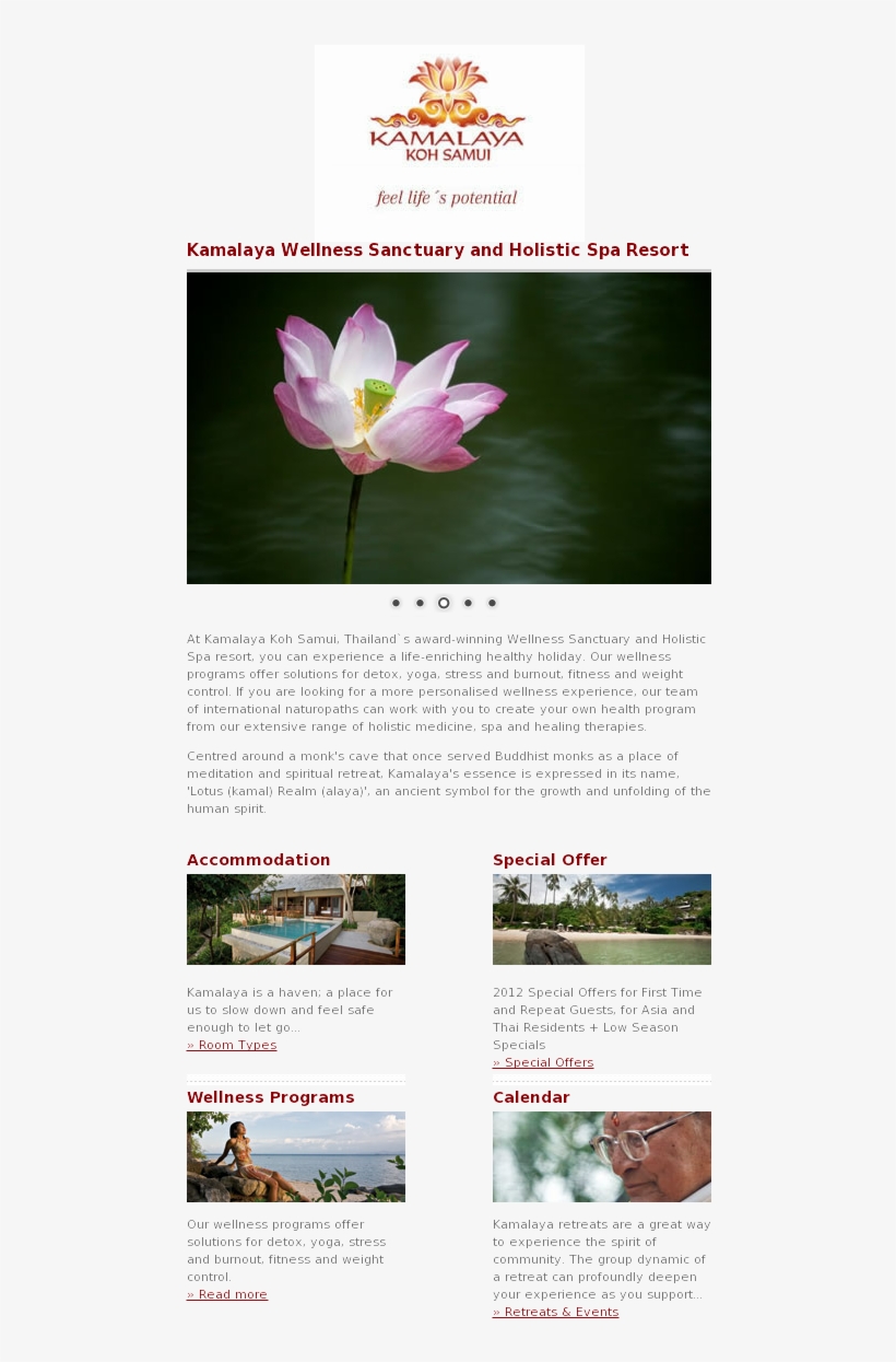Luxury Hotel Spa Thailand Competitors, Revenue And - Chiva Som, transparent png #2593696
