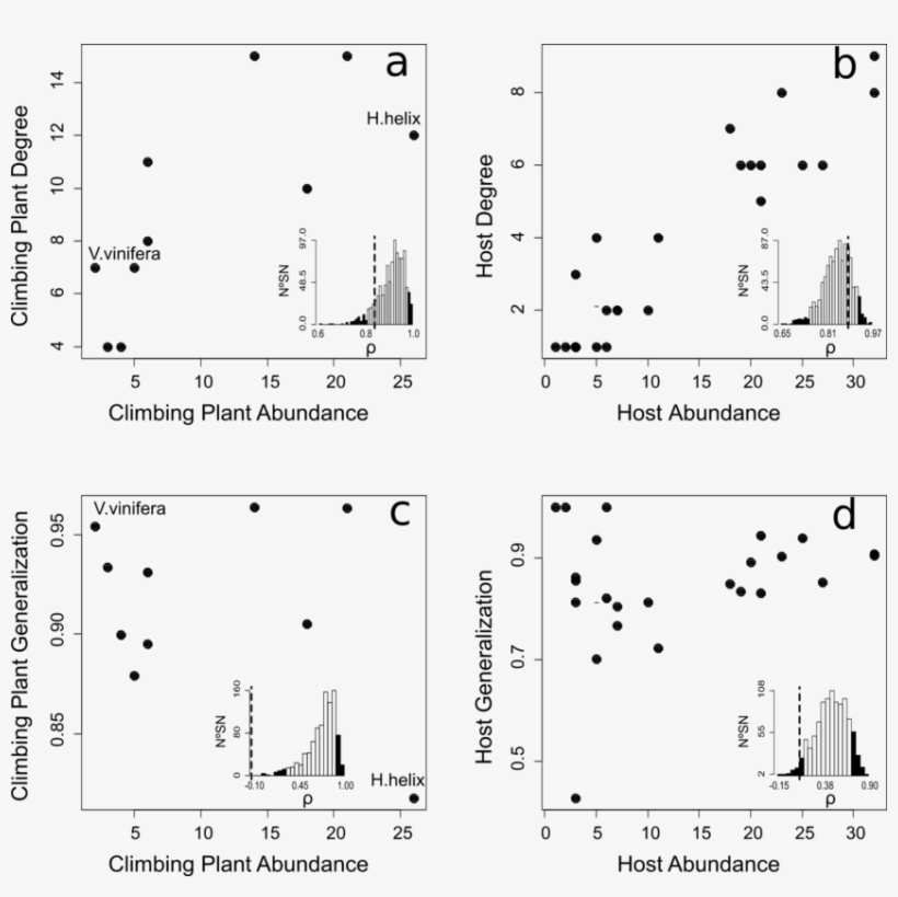 Relationships Between Abundance And Both Species Degree - Diagram, transparent png #2594000
