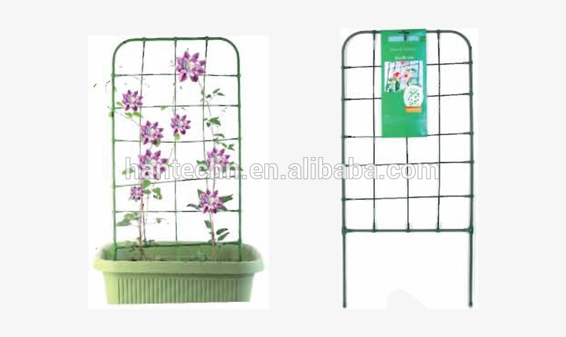 Metal Plant Climbing Support - Shelf, transparent png #2594161