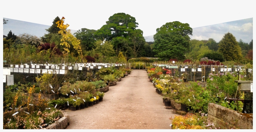 Our Aim - Botanical Garden, transparent png #2594334