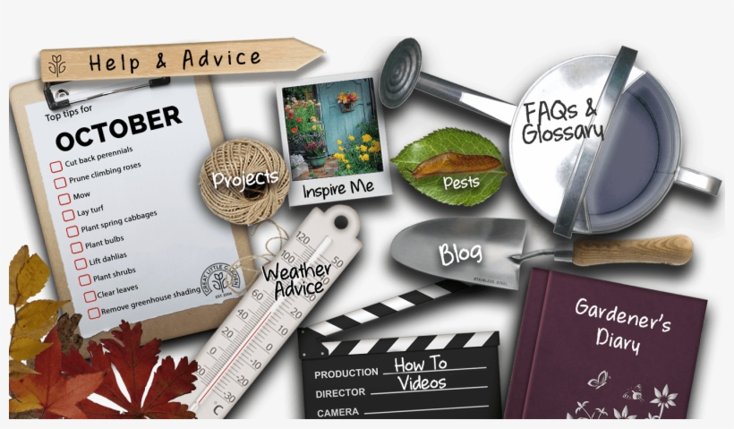 1 - Flyer, transparent png #2594396