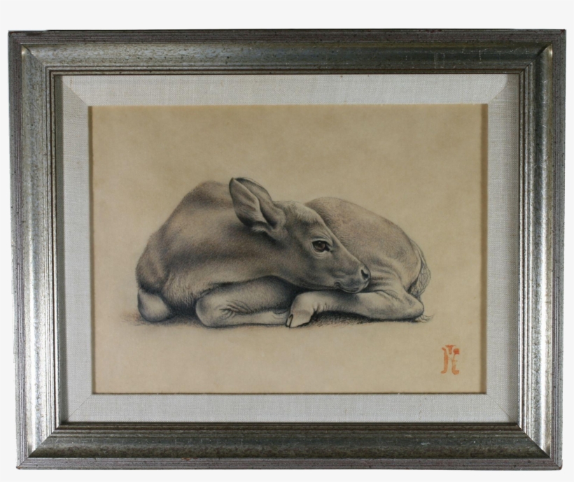 Carolyn Moorehead Edmundson Pencil Graphite Drawing - Drawing, transparent png #2595748