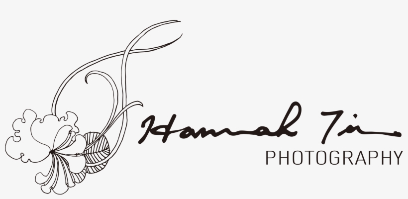 Hannah Timm Photography - Photography, transparent png #2596729
