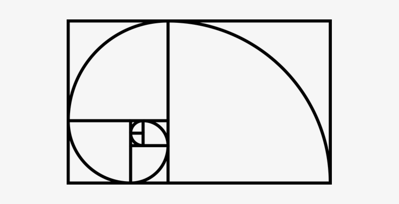 Fibonacci Spiral Science Golden Ratio Natu - Golden Ratio, transparent png #2598316