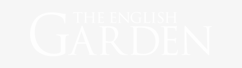 The Perfect Christmas Gift For Family And Friends - Barrett Jaguar, transparent png #2598460