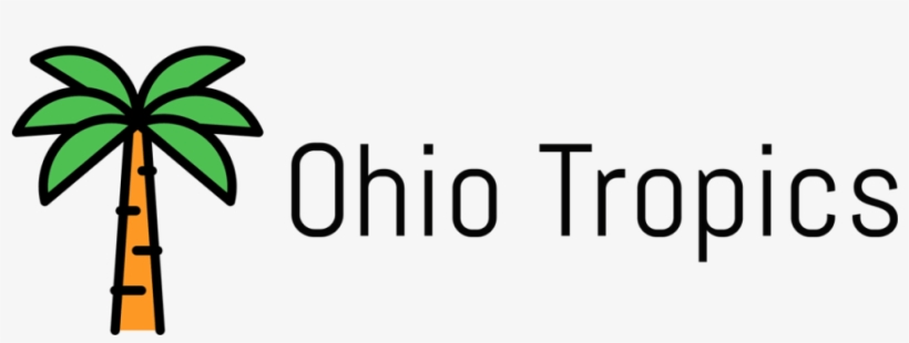 Ohio Tropics Houseplant And Tropical Plant Blog - Houseplant, transparent png #2598616