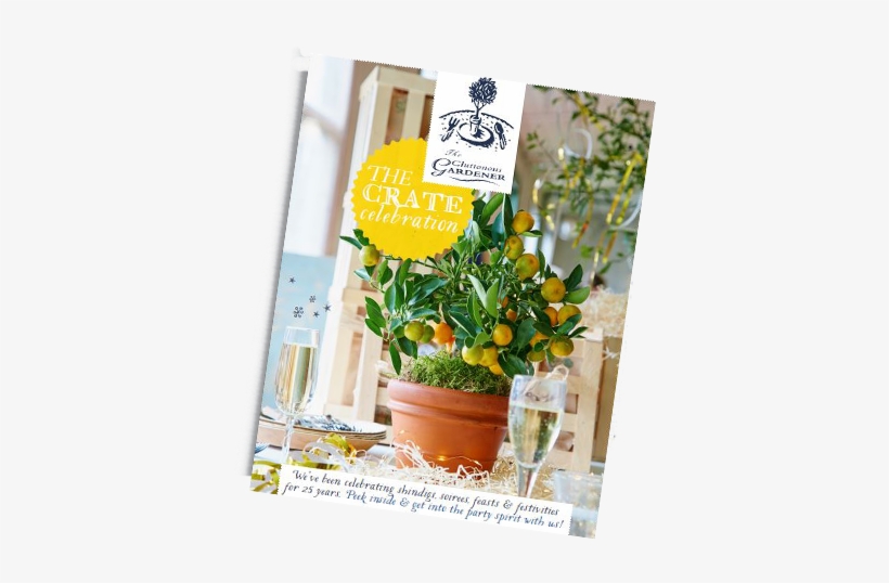 View Our Catalogue - English Marigold, transparent png #2598956