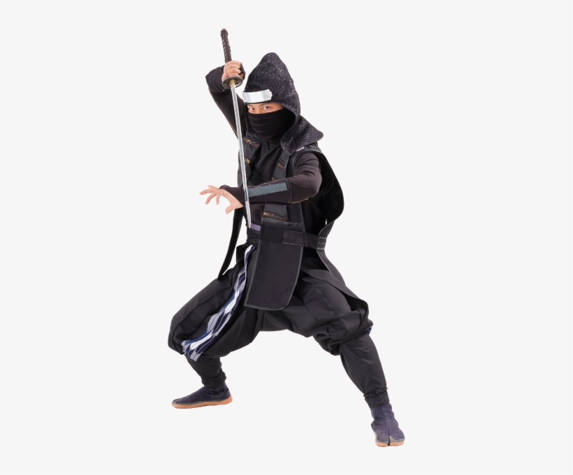 Hattori Hanzo And The Ninjas Ninjajapancom - Injustice Gods Among Us Batgirl, transparent png #2599076