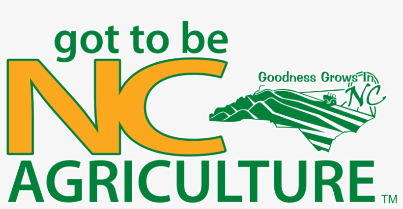 Got To Be Nc, transparent png #2599252