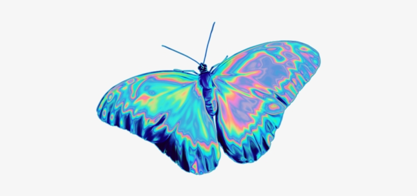 8 - Butterfly Png, transparent png #2599570