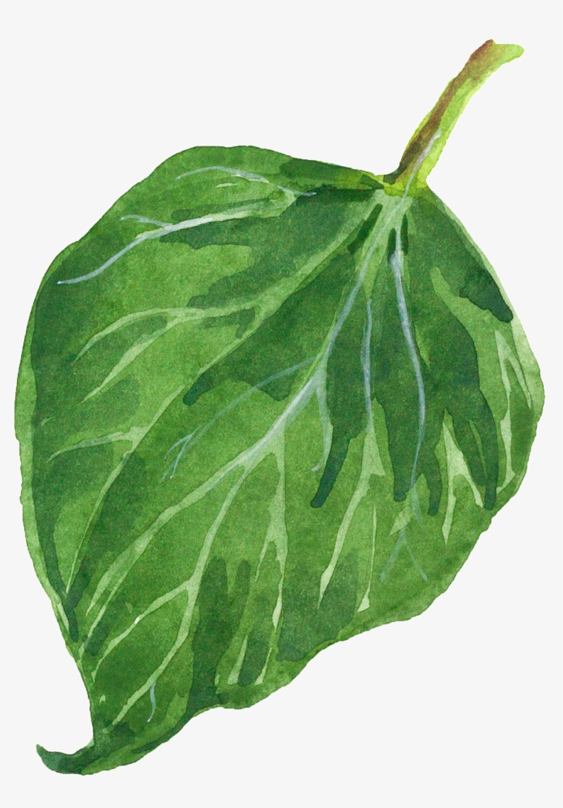 Falling Green Leaves Decorative Transparent, transparent png #2599954