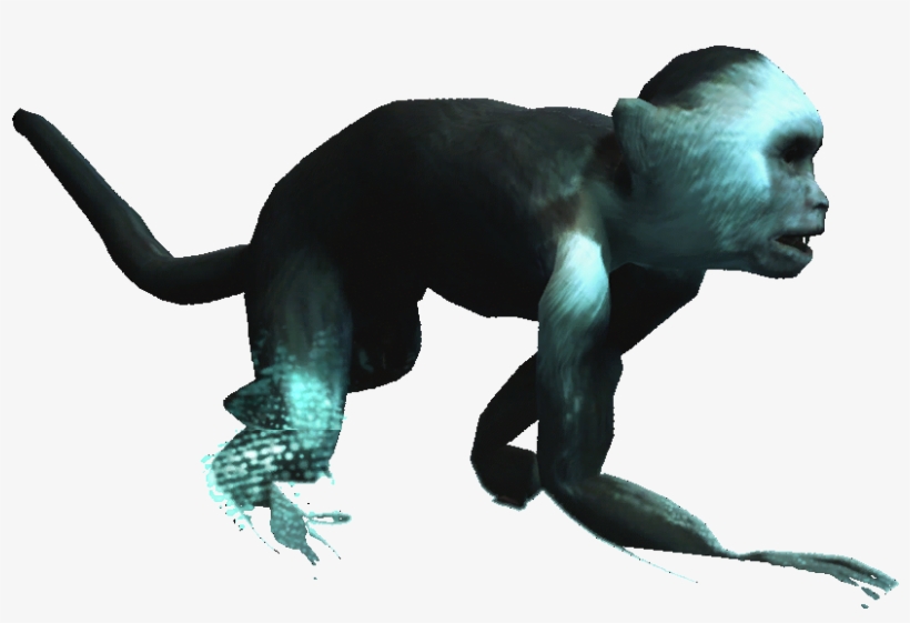 Capuchin Monkey - Assassin's Creed Iv: Black Flag, transparent png #260149