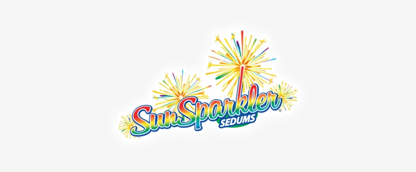 Sunsparkler® Sedums - Stonecrop, transparent png #260268