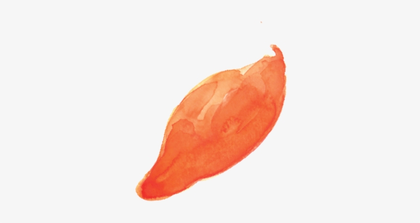 Sweet Potato, transparent png #260738