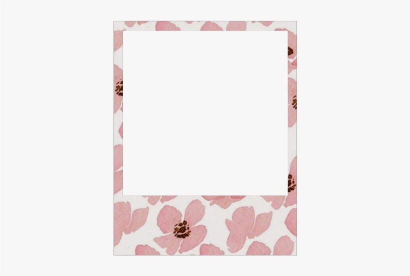 Source - - Polaroid Frame Transparent, transparent png #261010
