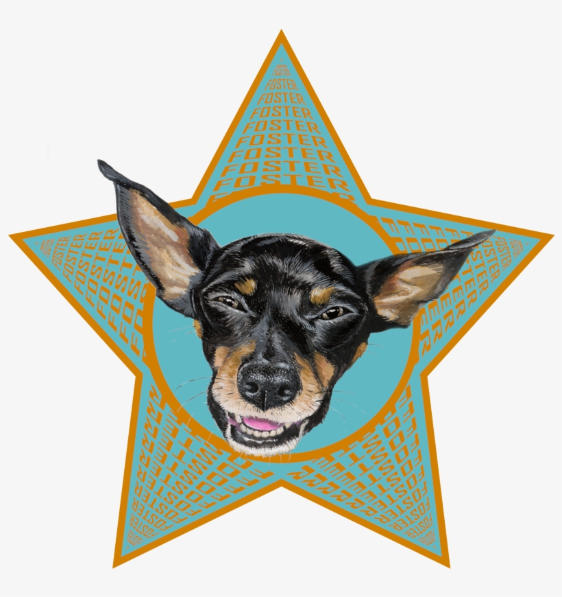 About Me - × - × - × - × - × - × - × - × - × - Dog, transparent png #261052