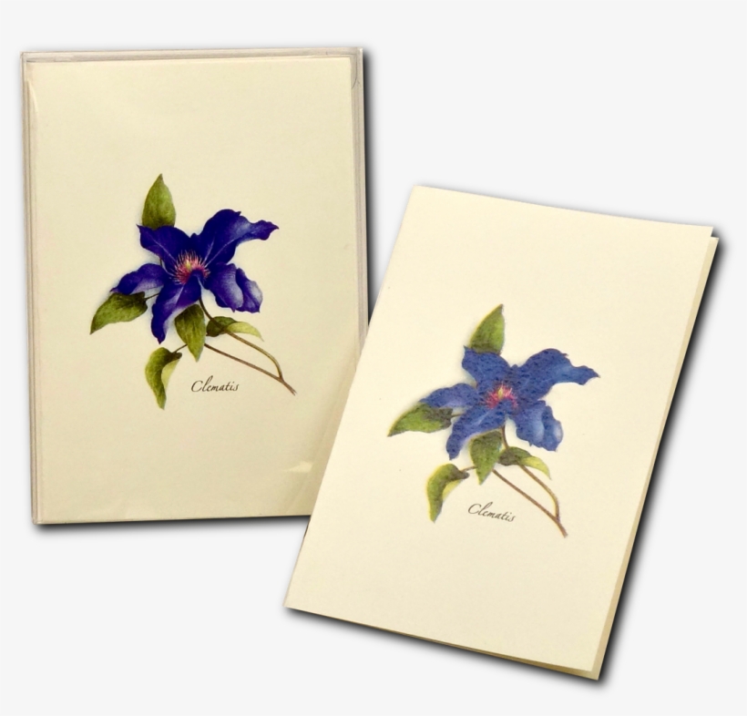 Shopping Cart -  -  - Iris, transparent png #261296