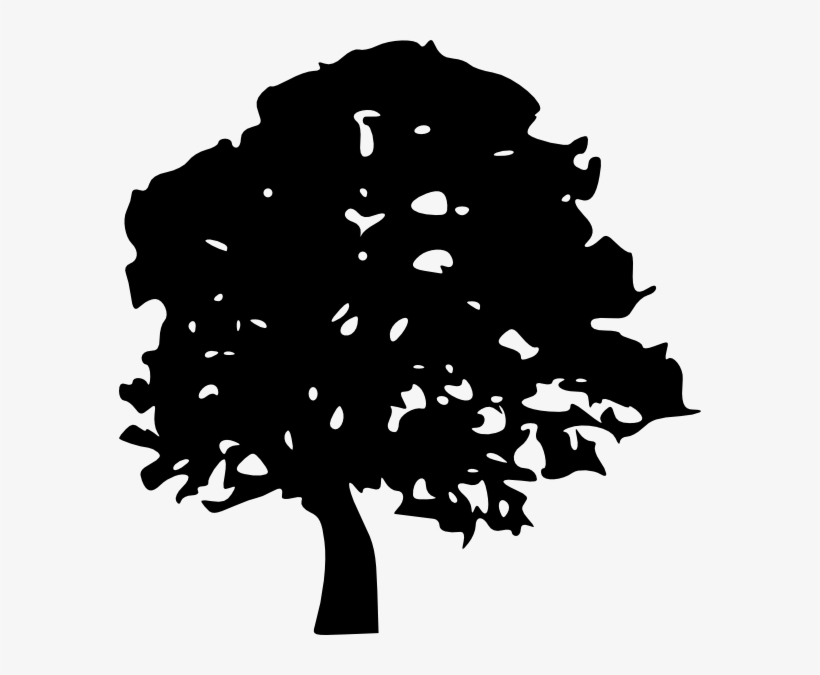 Black Oak Tree Svg Clip Arts 582 X 595 Px, transparent png #261889